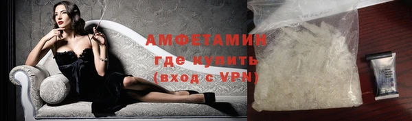 индика Арсеньев
