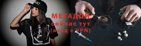 индика Арсеньев