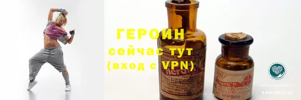 индика Арсеньев
