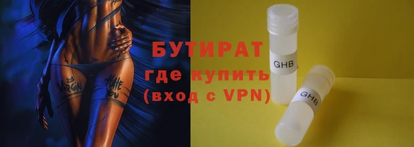 индика Арсеньев