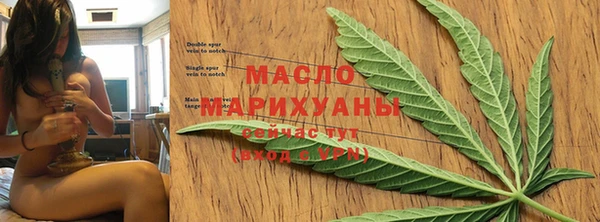 индика Арсеньев
