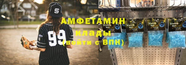 индика Арсеньев