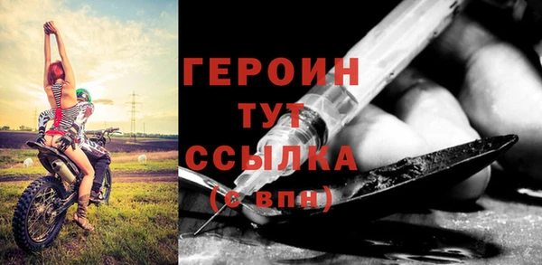 индика Арсеньев