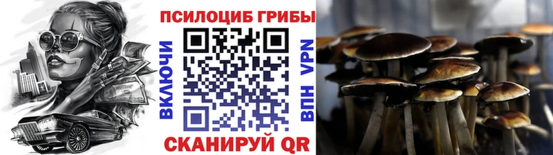 Галлюциногенные грибы MAGIC MUSHROOMS  Купить  Константиновск 